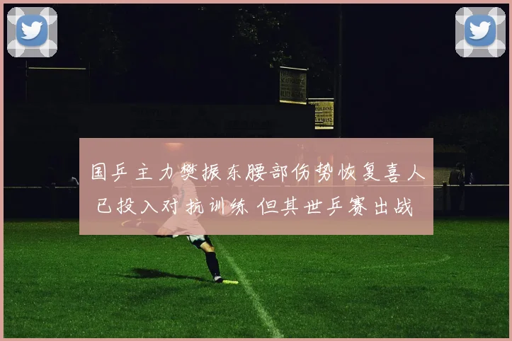 国乒主力樊振东腰部伤势恢复喜人 已投入对抗训练 但其世乒赛出战前景尚未明朗