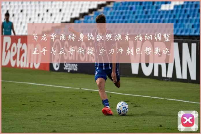 马龙华丽转身执教樊振东 精细调整正手与反手衔接 全力冲刺巴黎奥运会金牌