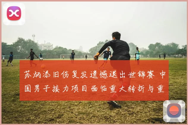 苏炳添旧伤复发遗憾退出世锦赛 中国男子接力项目面临重大转折与重生探索